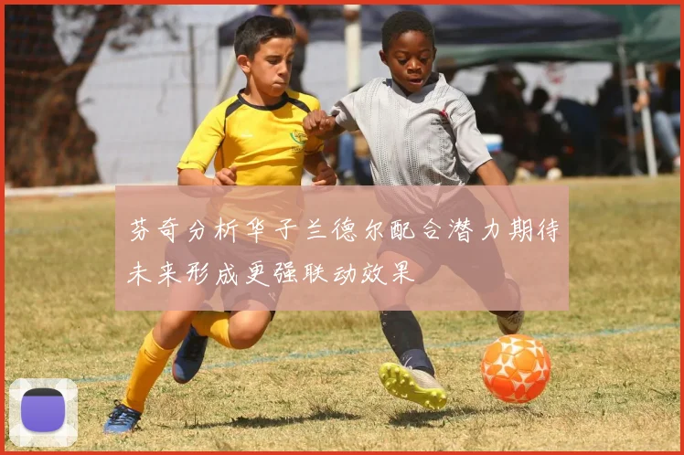 芬奇分析华子兰德尔配合潜力期待未来形成更强联动效果