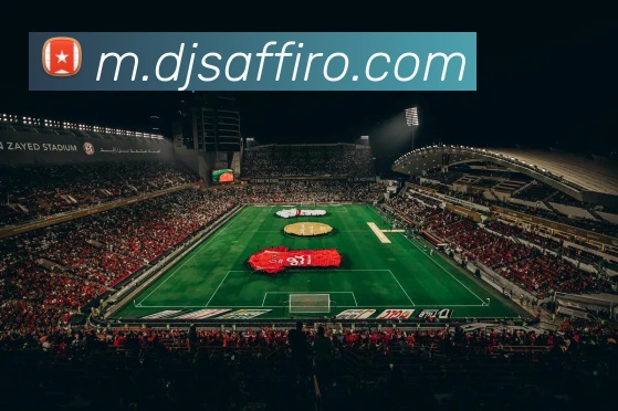 互动解说服务